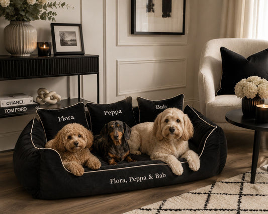 Black Plush Dog Bed With Cream Piping - With Personalisation