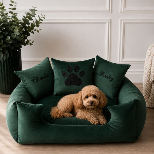 Emerald Plush Dog Bed With Black Piping - With Personalisation
