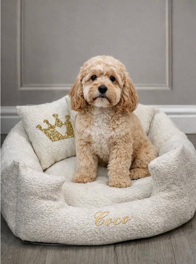 Cream Boucle Dog Bed With Gold Piping - With Personalisation